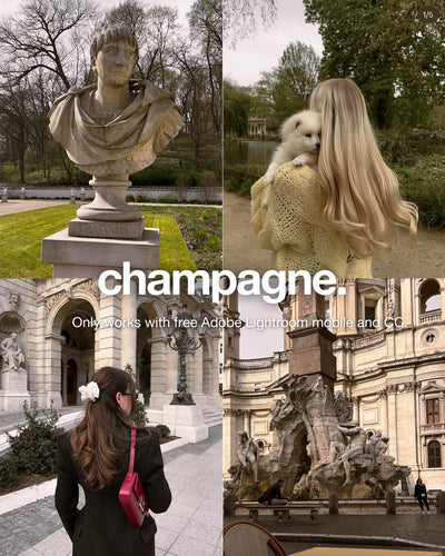 champagne