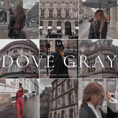 DOVE GRAY