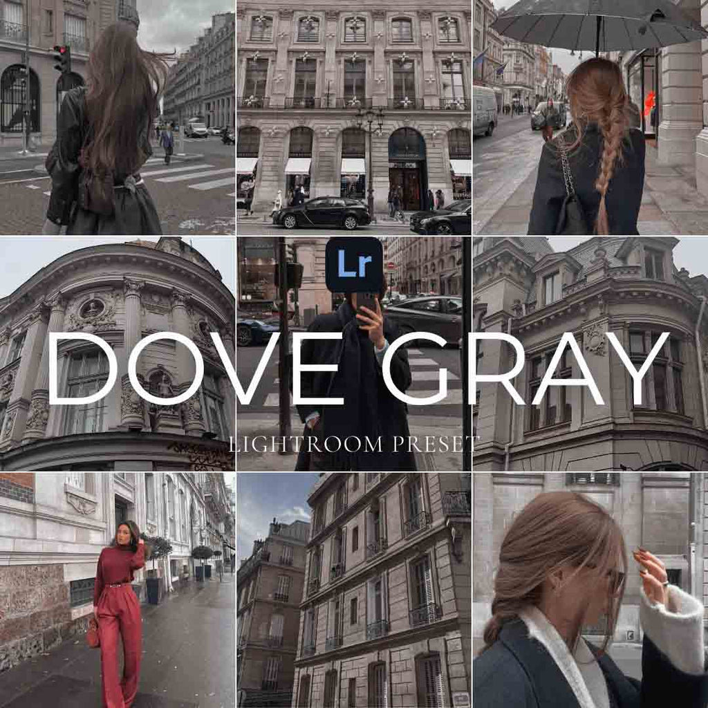 DOVE GRAY