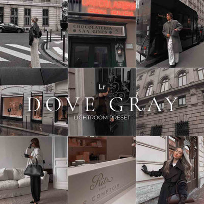 DOVE GRAY